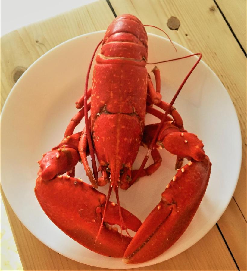 St Awaries Studio, Carne Rosslare Harbour Esterno foto