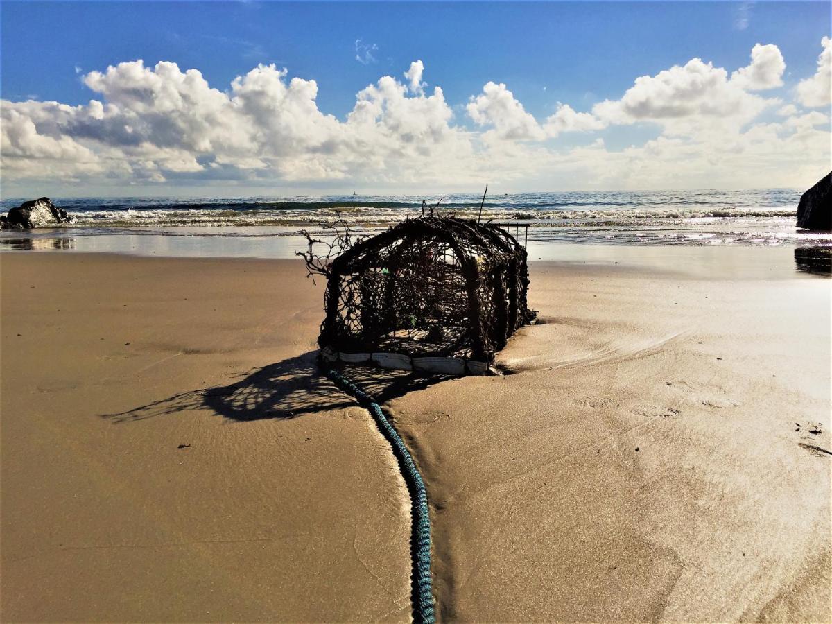 St Awaries Studio, Carne Rosslare Harbour Esterno foto