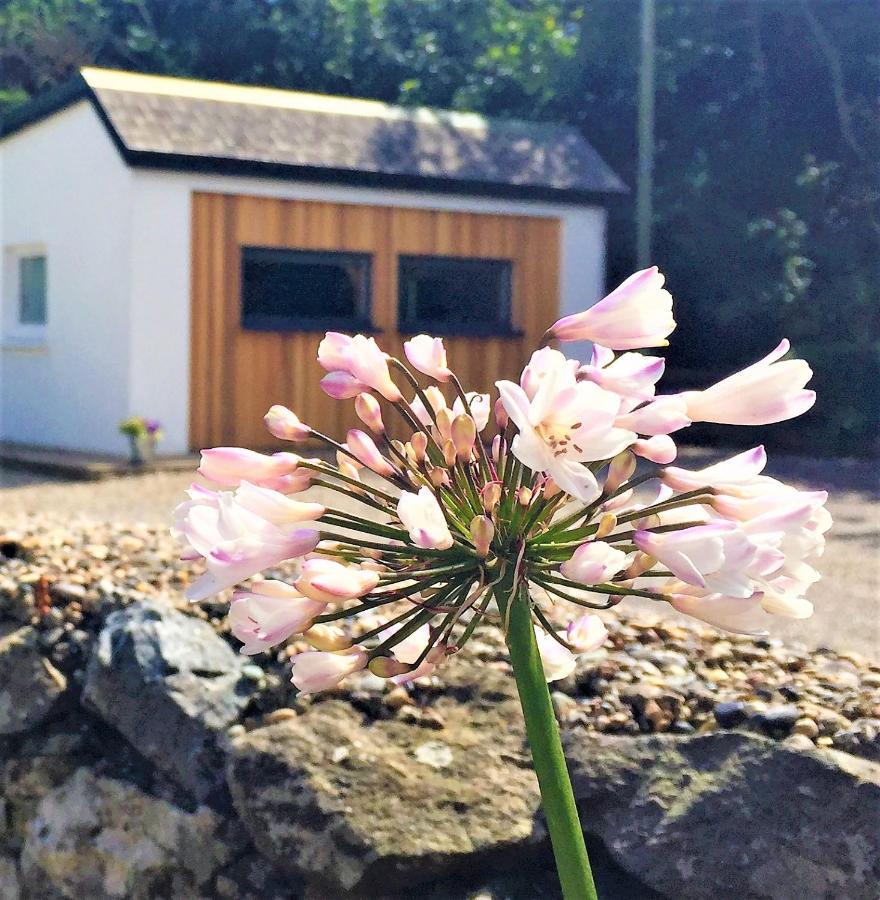 St Awaries Studio, Carne Rosslare Harbour Esterno foto